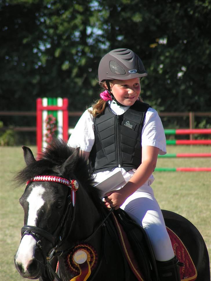 Anden særlig race Bum-Bum  *SOLGT* billede 15