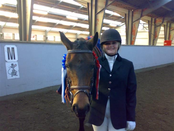 Dansk Varmblod Amethyst R.I.P - Dagens høst en 1. og en 2.plads billede 14