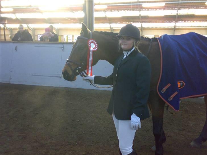 Dansk Varmblod Amethyst R.I.P - Og så lige fra siden billede 15