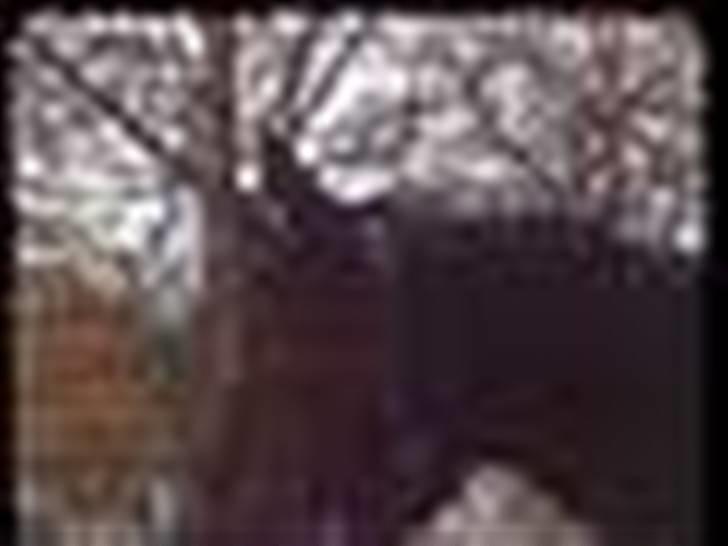 Dansk Varmblod Senorita Bell - Her er vi lige kommet ud af ridehuset efter en lille times arbejde billede 7