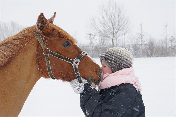 Anden særlig race BeautyButterfly-flipSolgt - Beauty Butterfly flip <3 billede 1