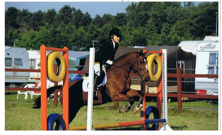 Anden særlig race Golden Merci SOLGT - 20, billede 17