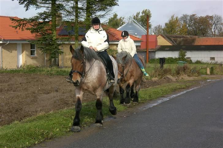 Belgier Dalmoses Bertha (solgt) - Bertha i front. billede 10
