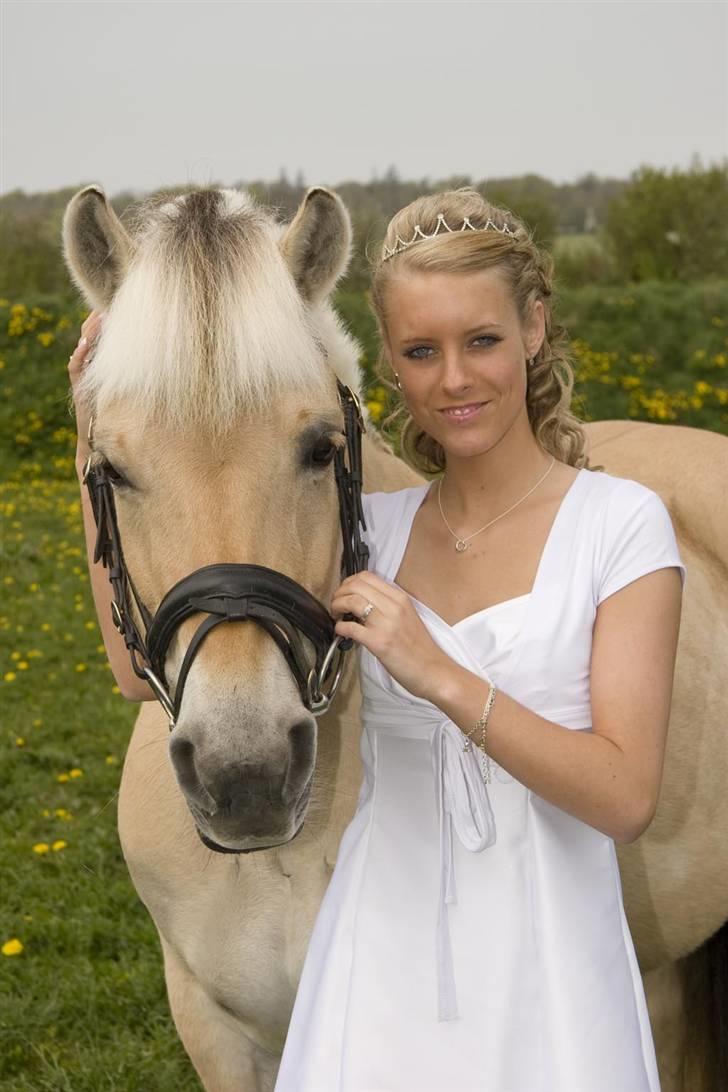 Fjordhest Laika Romeó(solgt) - fra konfirmation(: billede 12