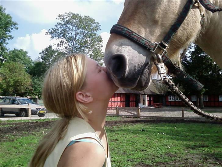 Fjordhest Lukas<3 (L' - mysser til lukas billede 5