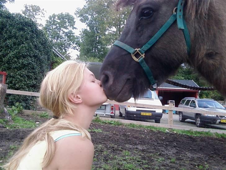 Islænder Urdúr<3 - Mysser til tøsen billede 9