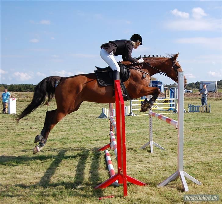 Anden særlig race Lyngholms dixie 'UDLÅNT' - mig & dixie til stævne i HIR. #´foto:annika. billede 10