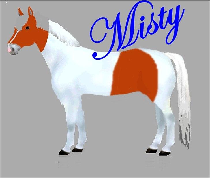 Anden særlig race Caballo Misty - Velkommen til min profil  billede 1