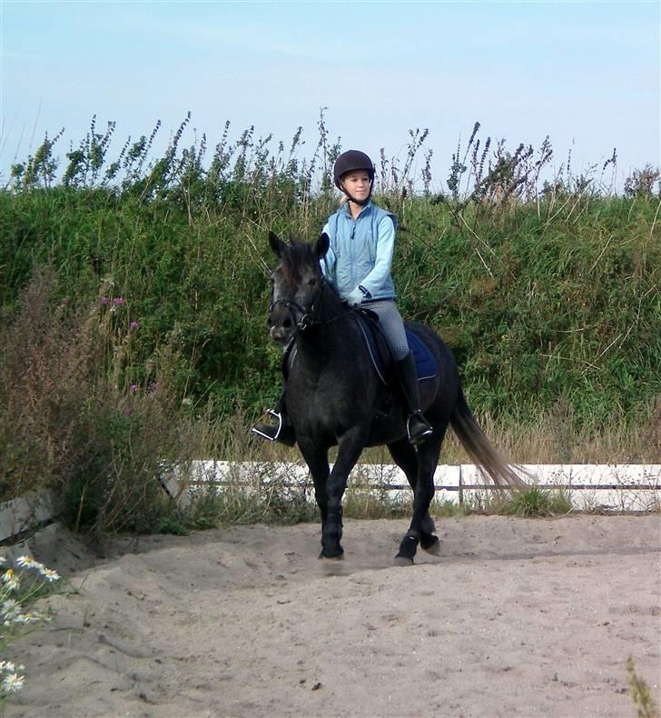 Anden særlig race Macy Grace *solgt* - Et styk´s Marlene og Macy<3 Ps. Kærlighed gør blind!  i hvertfald for mine tanker om mit ansigt. billede 6