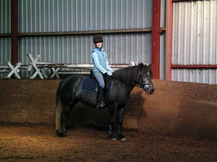 Anden særlig race Macy Grace *solgt* - os to<3 billede 7