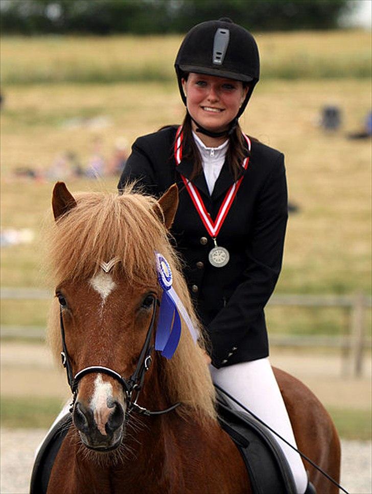 Islænder Abel fra Frederikshvile - DM 2010 sølv i T.2 med 6.53 i snit. Foto: Matilde Bøgh billede 20