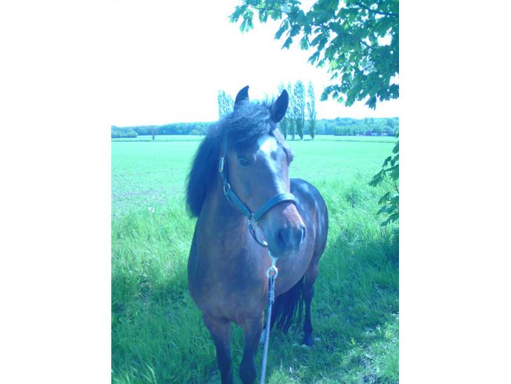 {{currentPhoto.altText}} billede {{currentPhoto.number}}