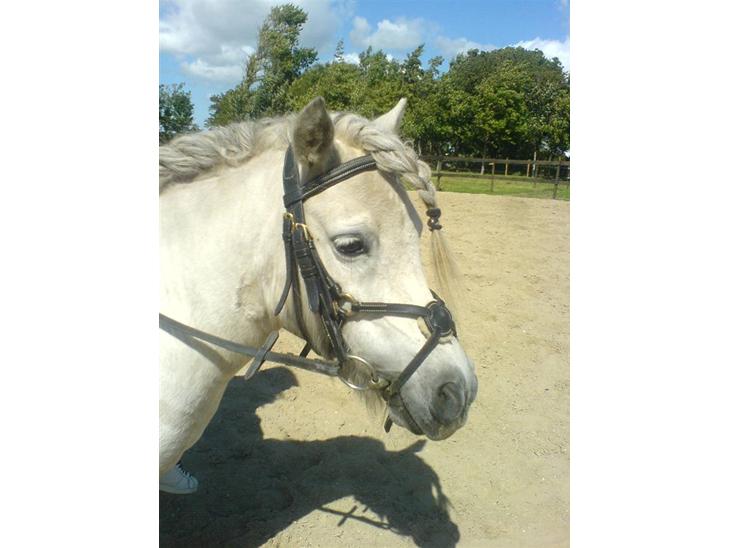 {{currentPhoto.altText}} billede {{currentPhoto.number}}