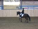 New Forest Hali´s Randy R.I.P