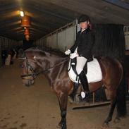 New Forest Hali´s Randy R.I.P