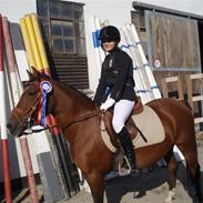 Anden særlig race Cirkeline