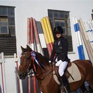 Anden særlig race Cirkeline