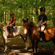 Anden særlig race Cirkeline