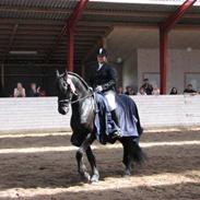 Frieser Janus van r.