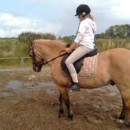 Anden særlig race carlo<''3 SOLGT :(