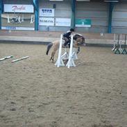 Anden særlig race carlo<''3 SOLGT :(