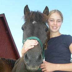 Anden særlig race Ari