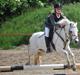 Welsh Pony (sec B) Langagers Flicka SOLGT