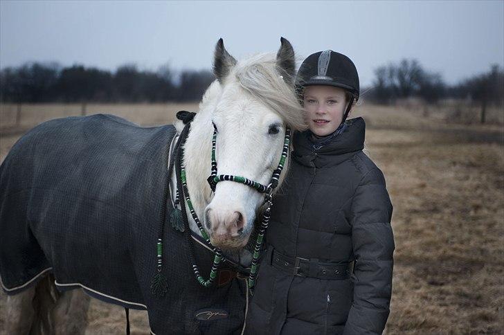 Irish Cob Little Big Bobby Beer - #16 - Bobby & Emilie billede 16