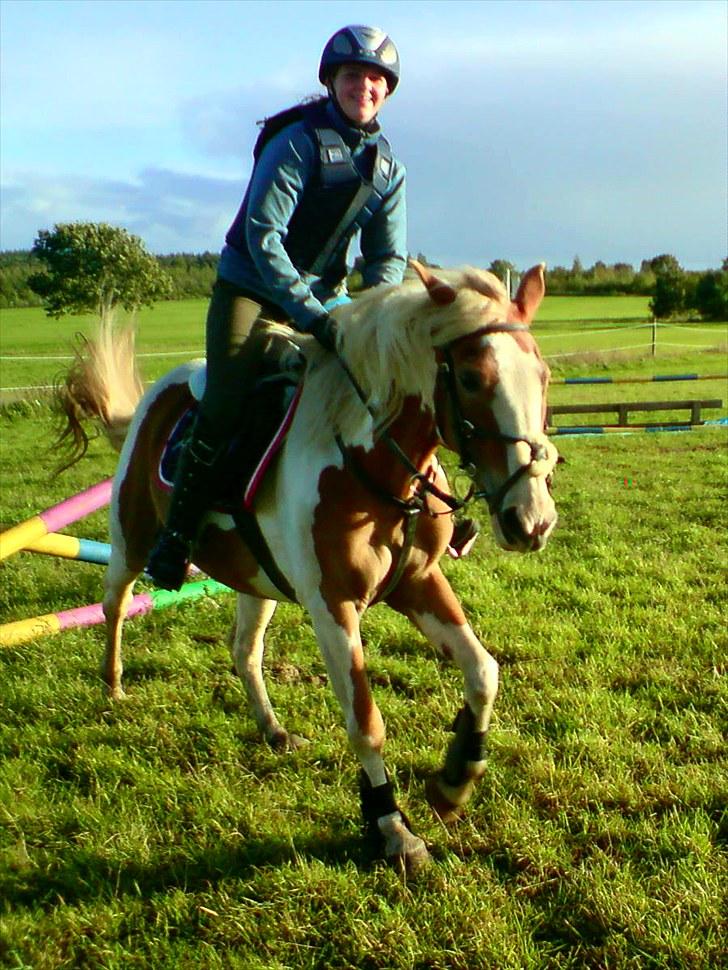 Anden særlig race :Tequila*SOLGT :'( - TEQUILA OG MIG. varmer op til spring ;D D. 8 september 2010
you make me smile every day!<3 billede 5