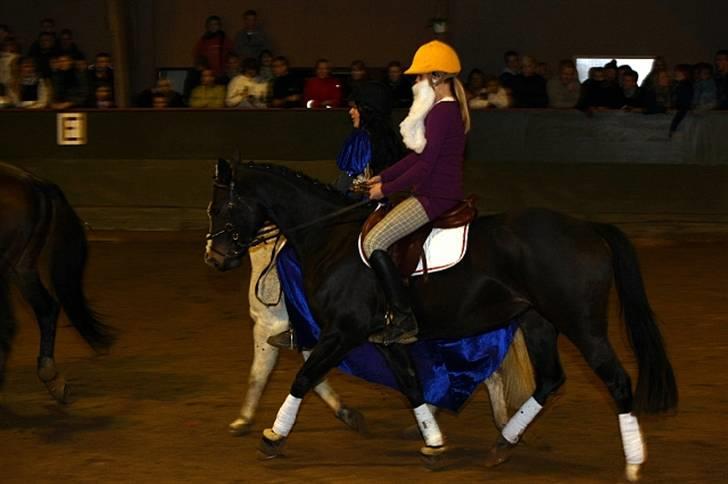 Anden særlig race Holtegårdens splif SOLGT. - ridetræf, un går ikke helt perfekt lige her. men hun var sindsyg god billede 12