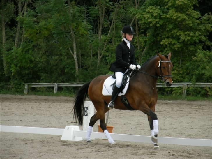 Irsk Sportspony Clover Island - 13) LB2 på HØRS:)<333 FOTO: Min far billede 13