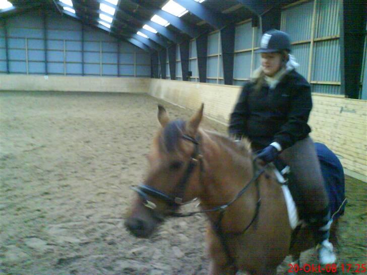 Anden særlig race smukke Lady billede 5