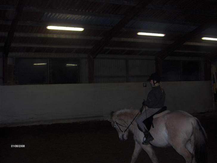 Fjordhest Huggeren :D ( Jannie's ) billede 14