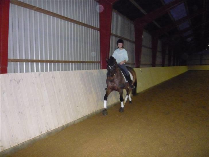 Anden særlig race Sasha - solgt !  billede 18