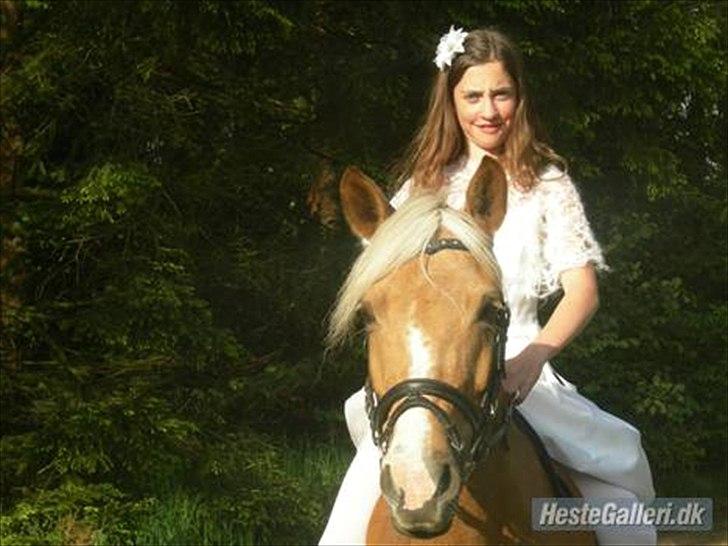 DSP Bæklunds Light -  ´´Hej jeg hedder Light!´´ - Min Konfirmation ... Fotograf: Min Far / Frederic Putman billede 11