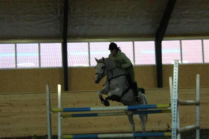 Holstener Lidria - SOLGT :'( billede 10