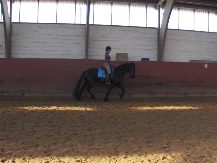 Frieser Rommert (Ik min mere) - Næsten lige da han var kommet op til mig... :) billede 2