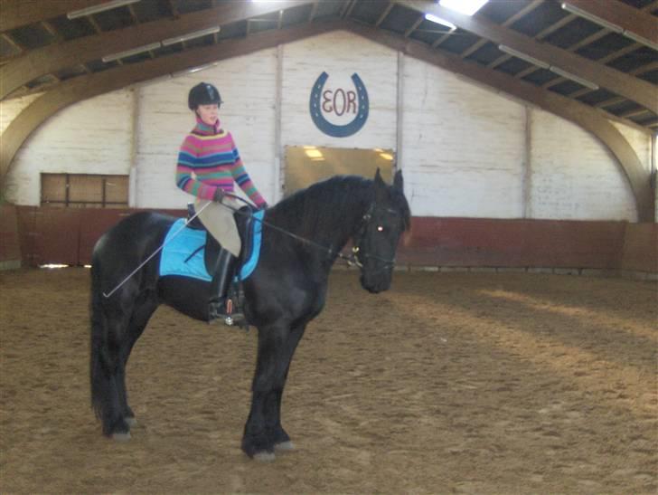 Frieser Rommert (Ik min mere) - Næsten lige da han var kommet op til mig... :) billede 4