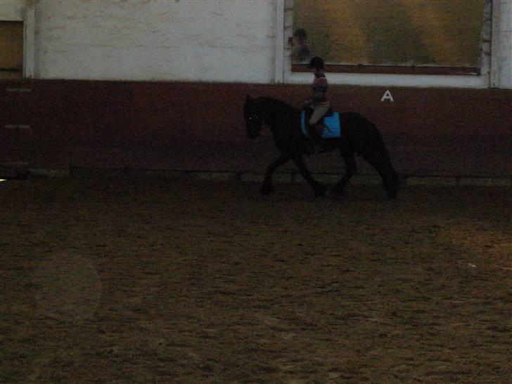 Frieser Rommert (Ik min mere) - Næsten lige da han var kommet op til mig... :) billede 6