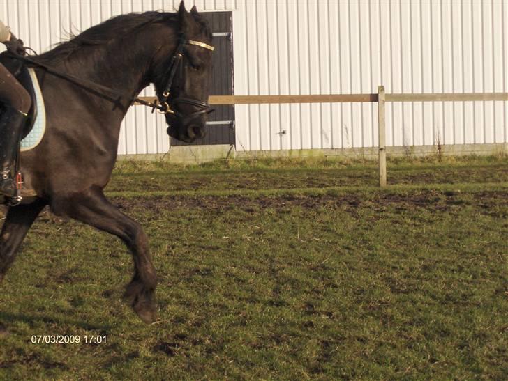 Frieser Rommert (Ik min mere) - Udenfor... :) NYT!!! billede 10