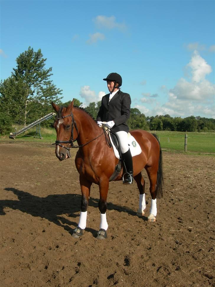 Anden særlig race Leandro - +++++ Er vi ikke bare dejlige ++++++++++ billede 15