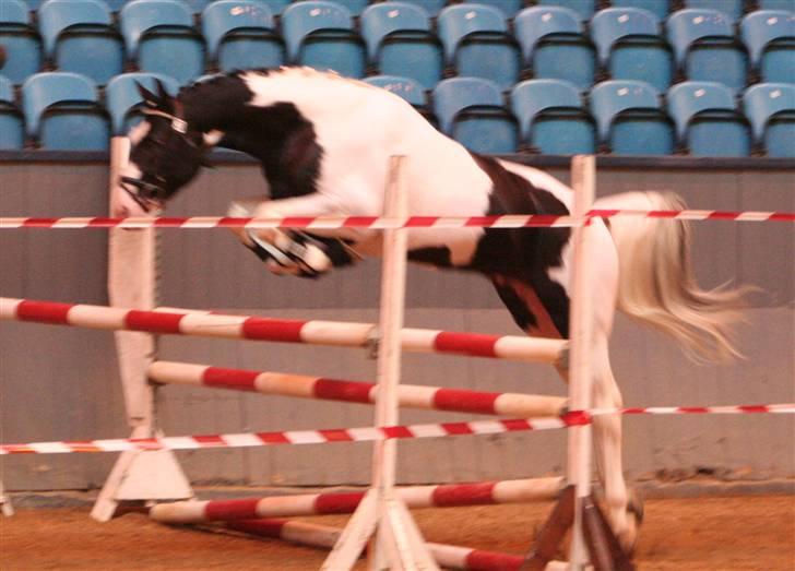Pinto Marott's Bugatti - Bugatti - Løsspring til Materialprøven 2007 billede 13
