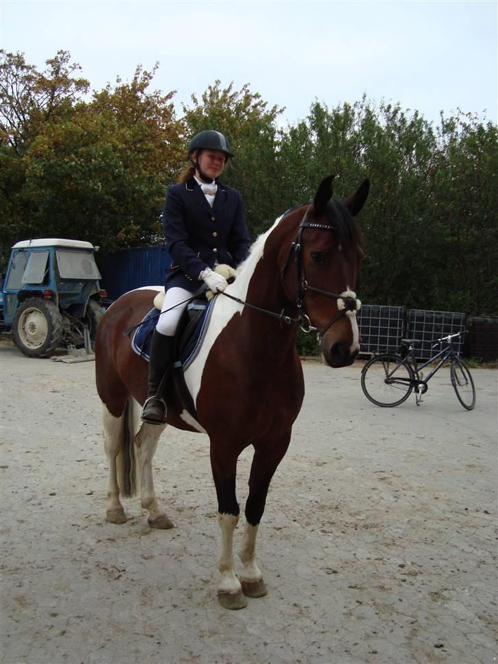 Anden særlig race BOJARD - Camilla og Bojard til Holbæk Mesterskaberne i spring, venter på præmieoverrækkelse.. og deres 2 plads i hele mesterskabet (: Foto: Mig billede 6