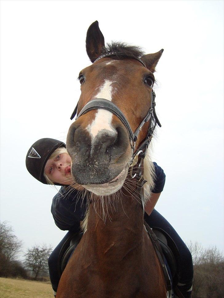 Anden særlig race BOJARD - Bojard og jeg på hans sidste dag.. Savner den hest hver dag, og det vil jeg resten af mine dage, han var simpelthen fantastisk <3 Foto: Far billede 4