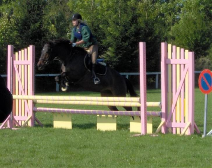 Anglo Araber (AA) BINE - mig og min højt elskede Bine, på en af vores sidste spring ture.. gud hvor jeg savner hende, men hun har det bedre i heste hinlen.. Foto: Camilla billede 20