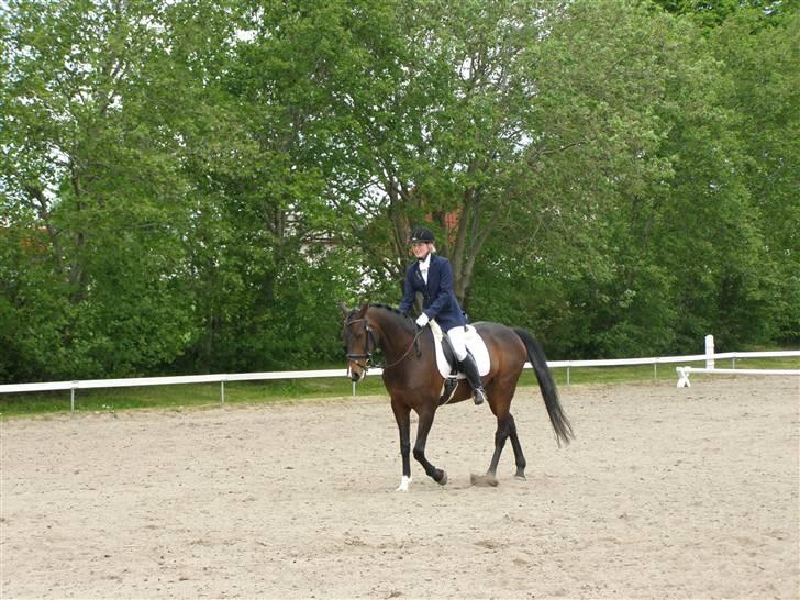 Anden særlig race Silke /Bianca gammel part - dressurstævne - færdig med programmet - et lille klap havde hun da fortjent :) billede 17