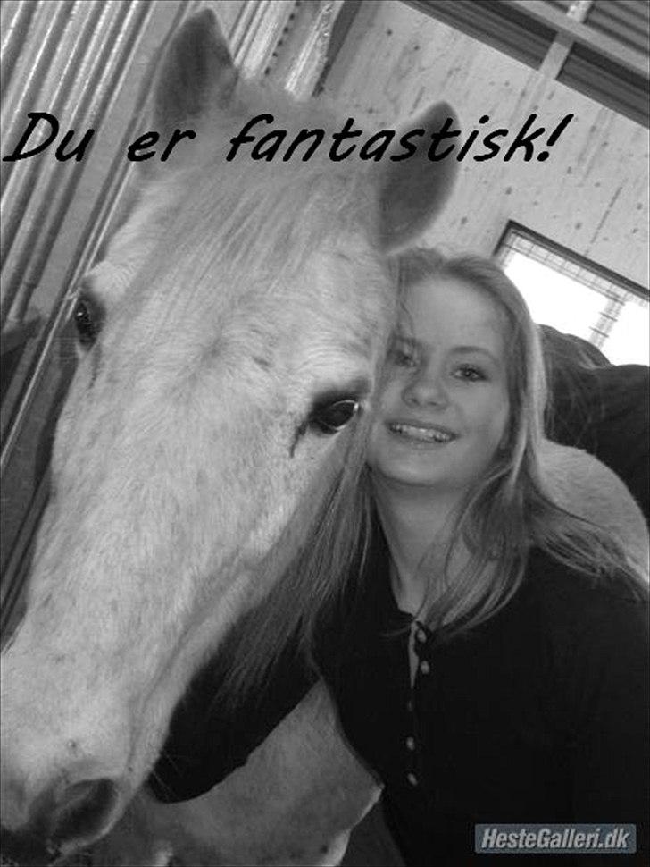 Anden særlig race Bella <3 - billede nr.: 9* Bella tøzen <3<3<3  billede 9