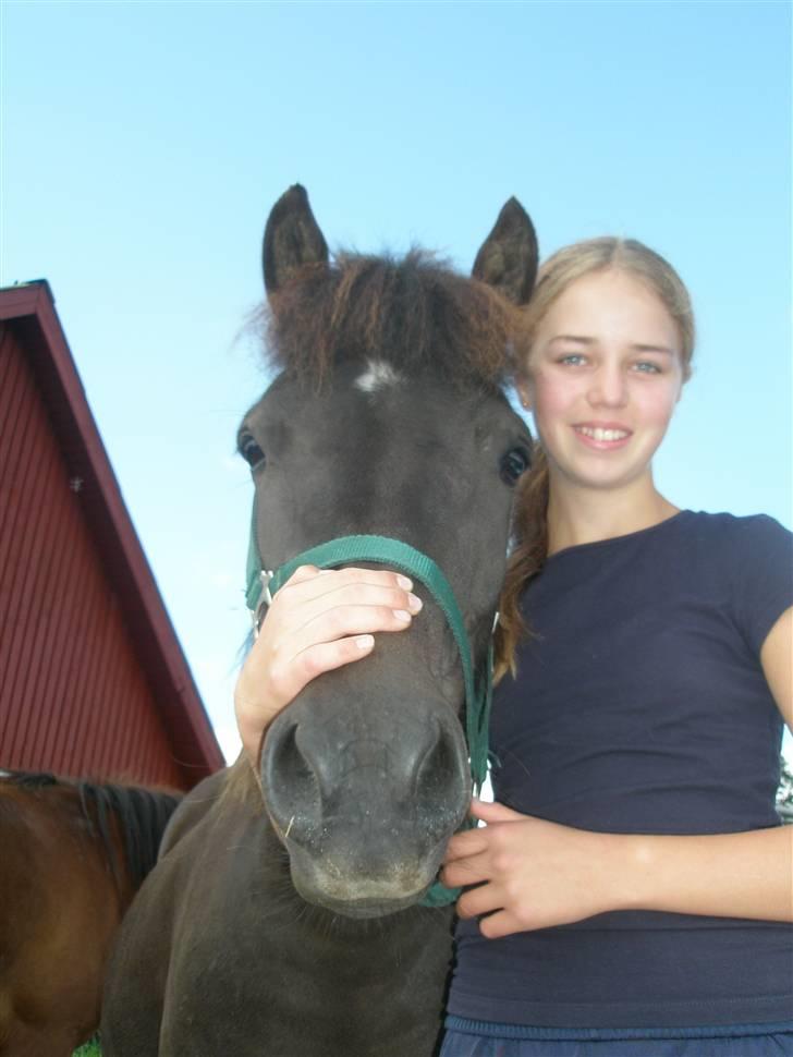 Anden særlig race Ari - Velkommen til Ari´s profil. Læg gerne en bedømmelse, billede 1