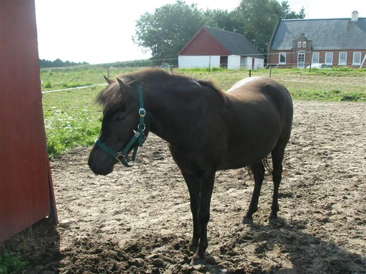 Anden særlig race Ari - er der mon mad derinde?? billede 2