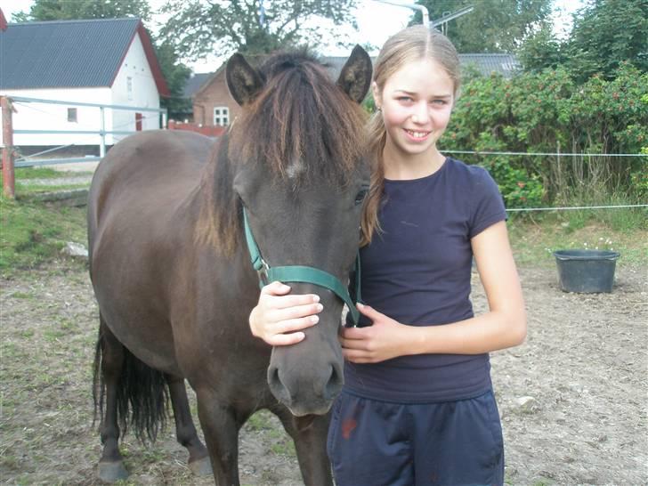 Anden særlig race Ari billede 5